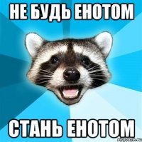 не будь енотом стань енотом