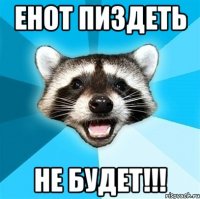 енот пиздеть не будет!!!