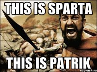 this is sparta this is patrik