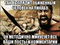 так выглядит обиженный человек на пикабу он методично минусует все ваши посты и комментарии