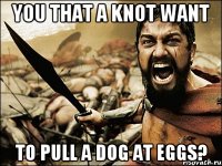 you that a knot want to pull a dog at eggs?