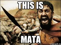 this is mata