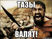 ТАЗЫ ВАЛЯТ!