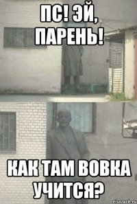 пс! эй, парень! как там вовка учится?