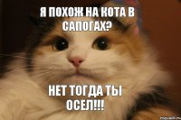 Я похож на кота в сапогах? Нет тогда ты осел!!!