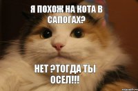 Я похож на кота в сапогах? Нет ?тогда ты осел!!!