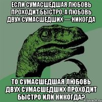 если сумасшедшая любовь проходит быстро, а любовь двух сумасшедших — никогда то сумасшедшая любовь двух сумасшедших проходит быстро или никогда?