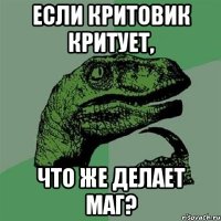 если критовик критует, что же делает маг?