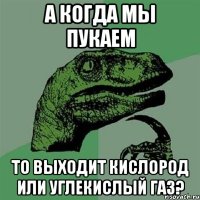 а когда мы пукаем то выходит кислород или углекислый газ?