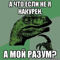 А что если не я накурен, А мой разум?