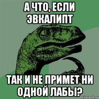 А ЧТО, ЕСЛИ ЭВКАЛИПТ ТАК И НЕ ПРИМЕТ НИ ОДНОЙ ЛАБЫ?