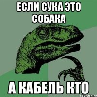 если сука это собака а кабель кто