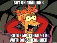 вот он пкашник который узнал что wathdogs невышел