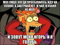 Мое лицо, когда просыпаюсь, иду на кухню, а завтрака нет. И чая. И кухня не моя. И зовут меня Игорь. И я голубь.