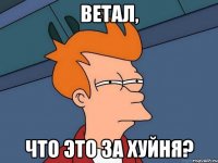 Ветал, что это за хуйня?