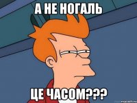 а не Ногаль це часом???