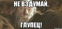 не вздумай, глупец!