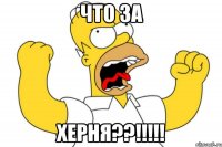 что за херня??!!!