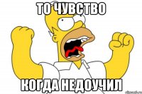 то чувство когда недоучил