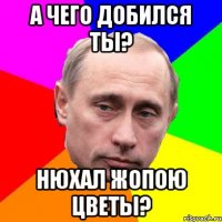 а чего добился ты? нюхал жопою цветы?