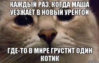 каждый раз, когда маша уезжает в новый уренгой где-то в мире грустит один котик