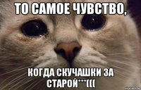 То самое чувство, когда скучашки за Старой***(((