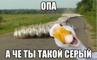 опа а че ты такой серый