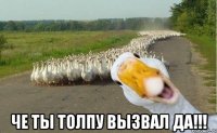  че ты толпу вызвал да!!!