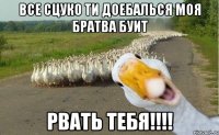 все сцуко ти доебалься моя братва буит рвать тебя!!!