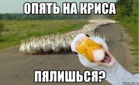 опять на криса пялишься?