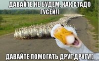 давайте не будем, как стадо гусей!) давайте помогать друг другу!)