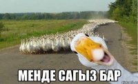  менде сагыз бар