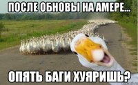 после обновы на амере... опять баги хуяришь?