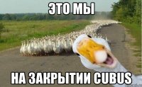 это мы на закрытии cubus