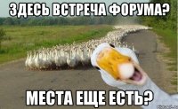 здесь встреча форума? места еще есть?