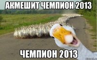 Акмешит чемпион 2013 Чемпион 2013