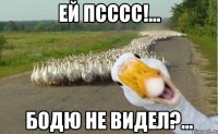 ЕЙ ПСССС!... БОДЮ НЕ ВИДЕЛ?...