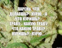 Парень, что делаешь? - Курю. - А что куришь? - Траву. - Какую траву - Что какую траву? - Куришь? - Курю....