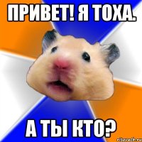 привет! я тоха. а ты кто?