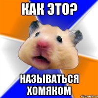 как это? называться хомяком