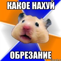 какое нахуй обрезание