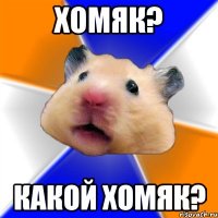 хомяк? какой хомяк?