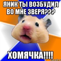 яник ты возбудил во мне зверя??? хомячка!!!