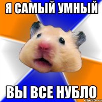 я самый умный вы все нубло