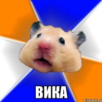  вика