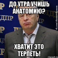 до утра учишь анатомию? хватит это терпеть!