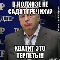 в колхозе не садят гречиху? хватит это терпеть!!!