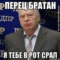 Перец братан Я тебе в рот срал