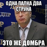 одна палка два струна это же домбра