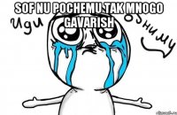 sof nu pochemu tak mnogo gavarish 